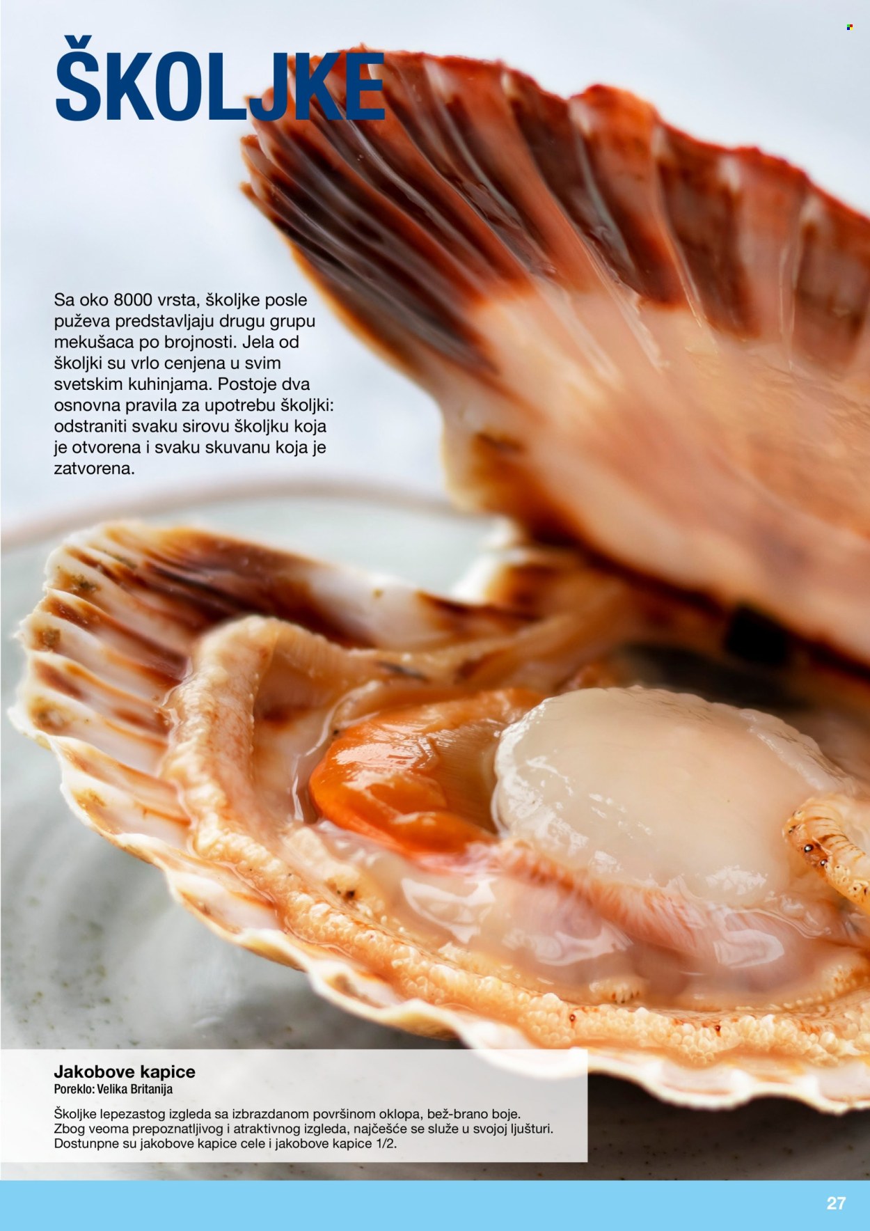 Metro katalog. Stranica 27