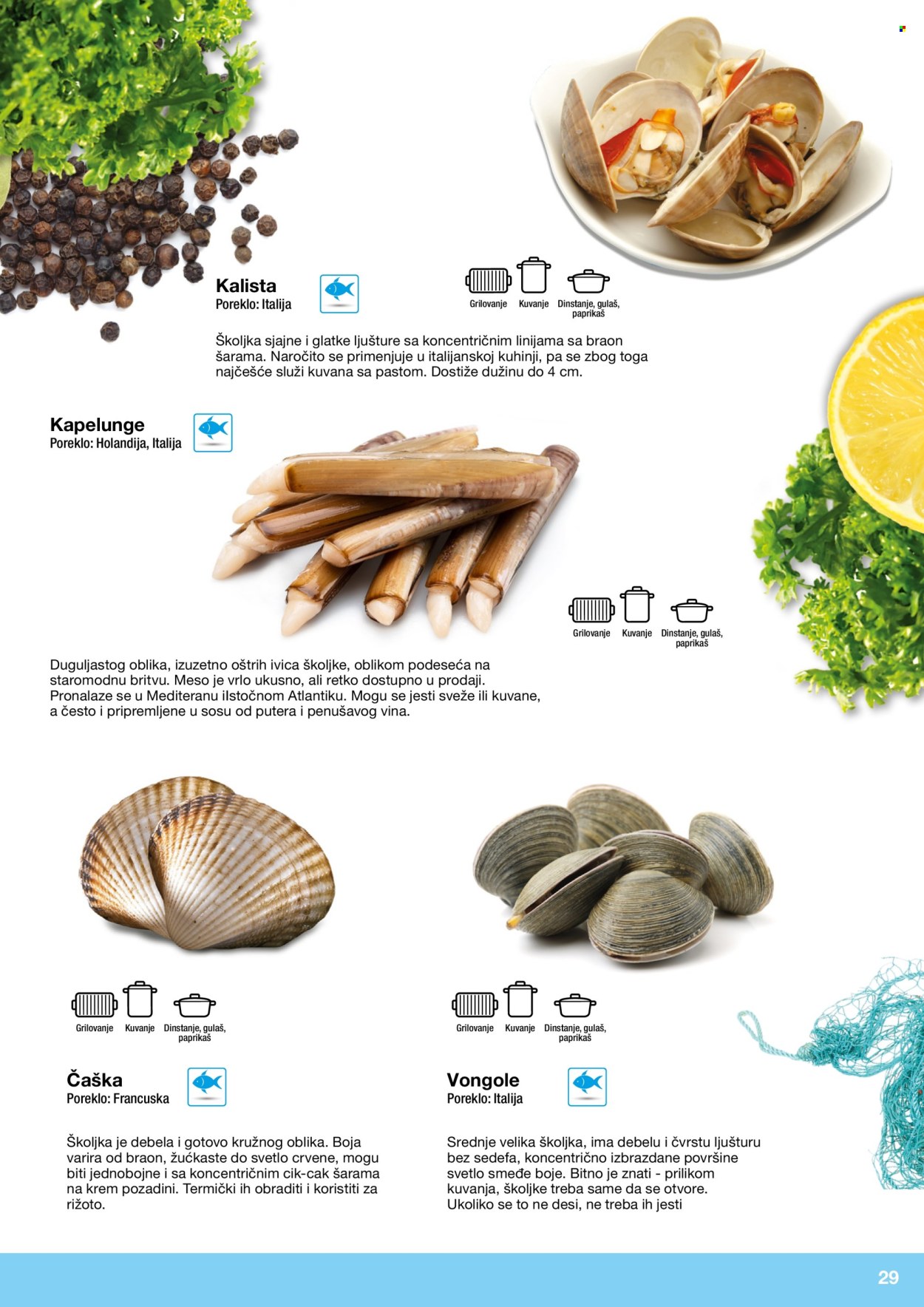 Metro katalog. Stranica 29