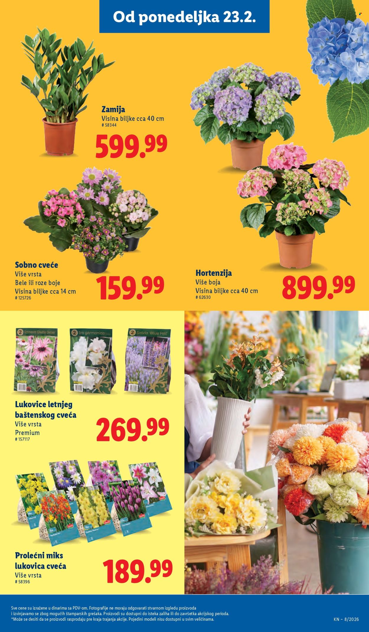 Lidl katalog - 19.02.2026 - 25.02.2026. Stranica 49