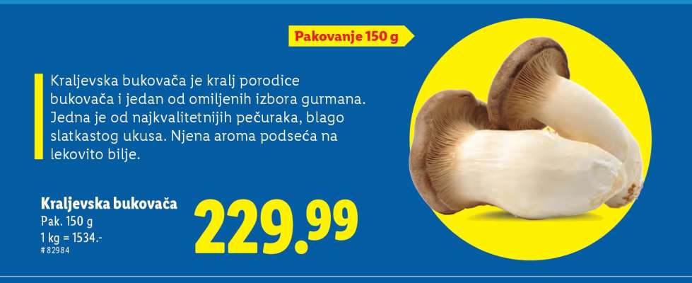 KRALJEVSKA BUKOVAČA