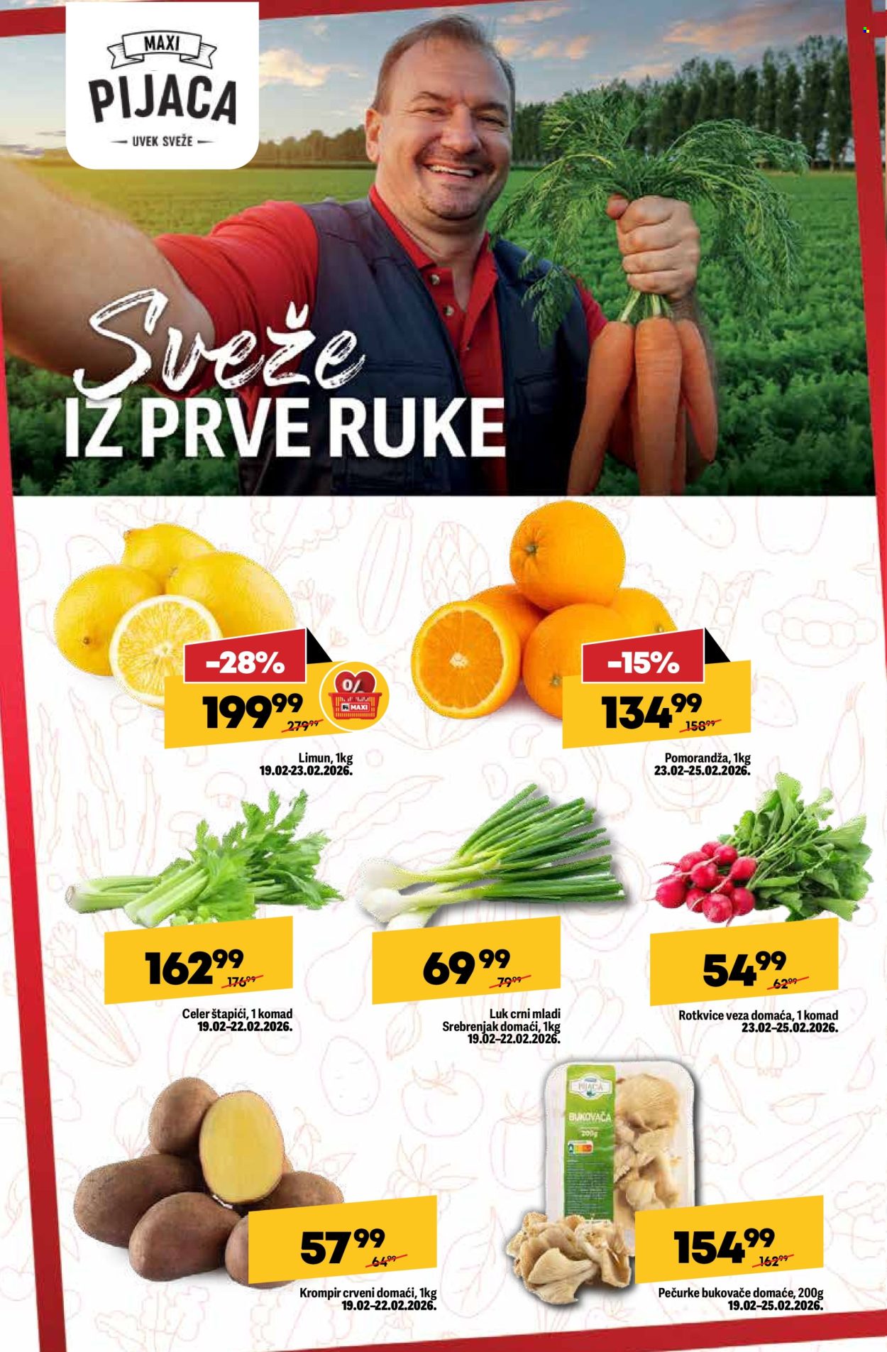 Maxi katalog - 19.02.2026 - 25.02.2026. Stranica 10