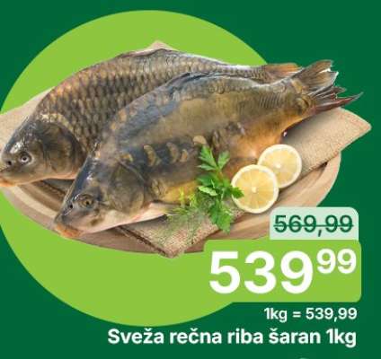 Sveža rečna riba šaran 1kg