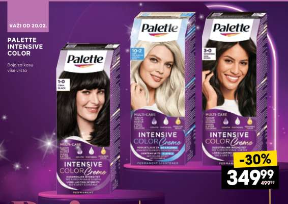 PALETTE INTENSIVE COLOR