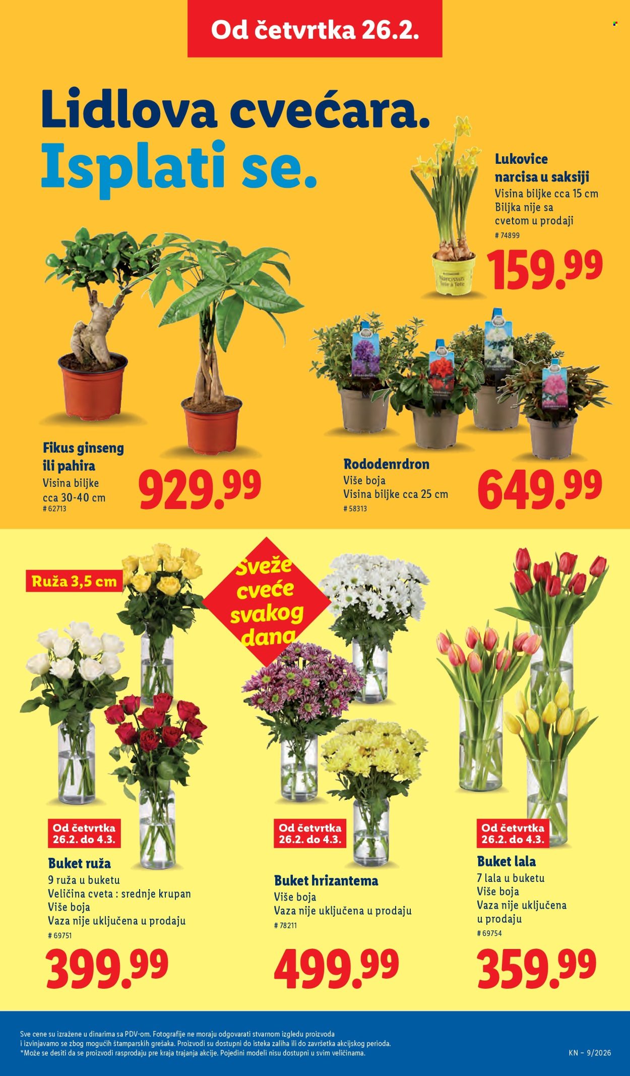 Lidl katalog - 26.02.2026 - 04.03.2026. Stranica 17