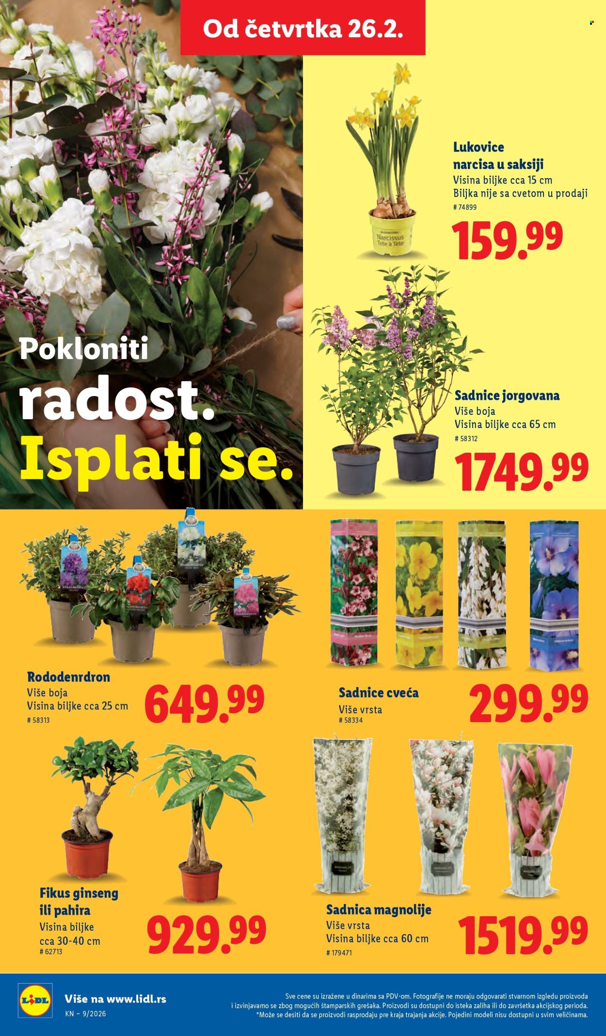 Lidl katalog - 26.02.2026 - 04.03.2026. Stranica 68