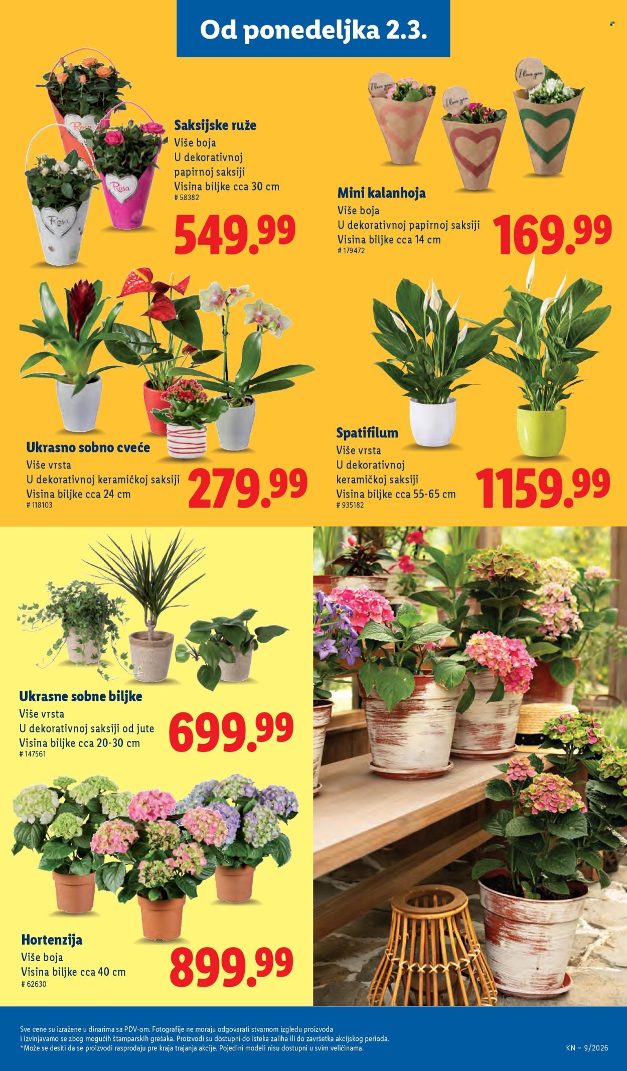 Lidl katalog - 26.02.2026 - 04.03.2026. Stranica 69