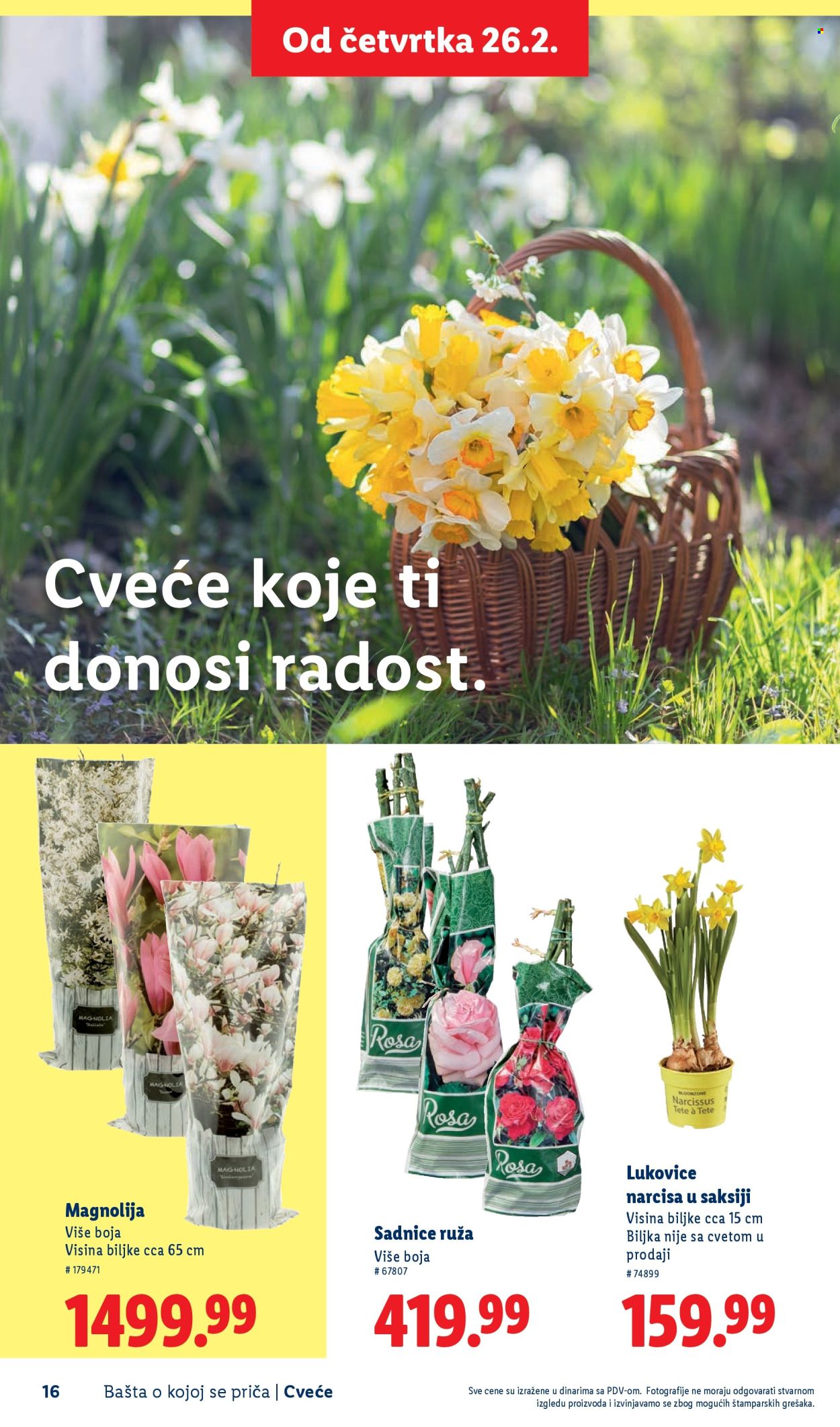 Lidl katalog. Stranica 16