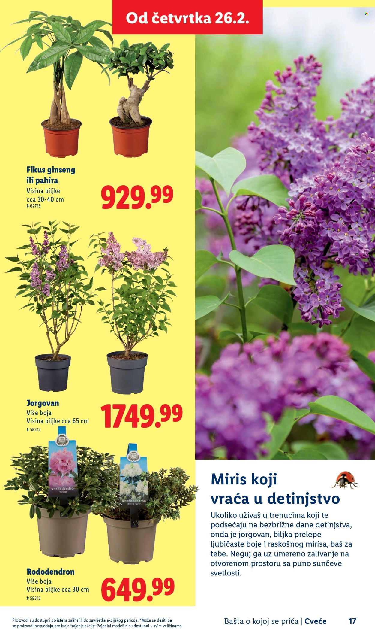 Lidl katalog. Stranica 17