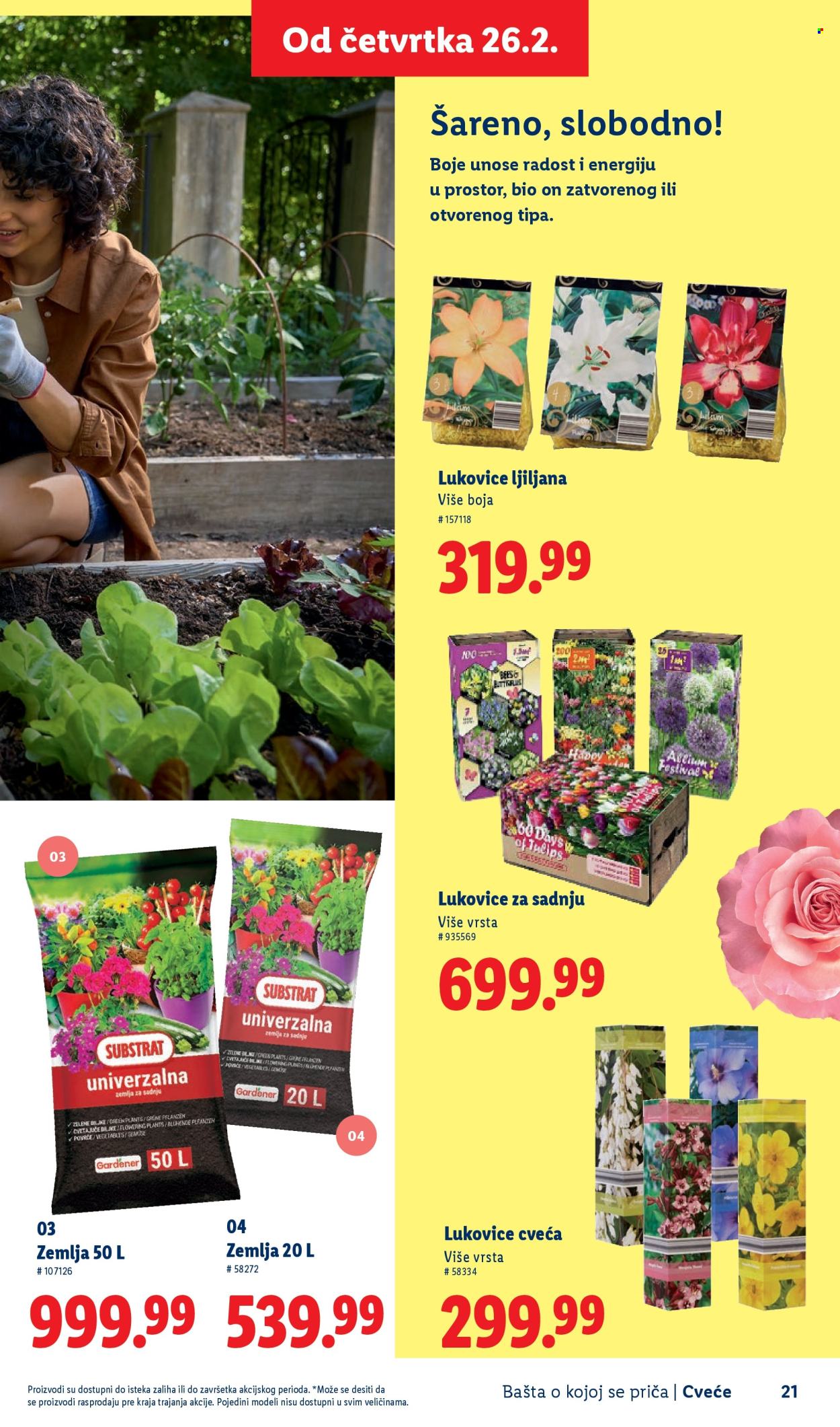 Lidl katalog. Stranica 21