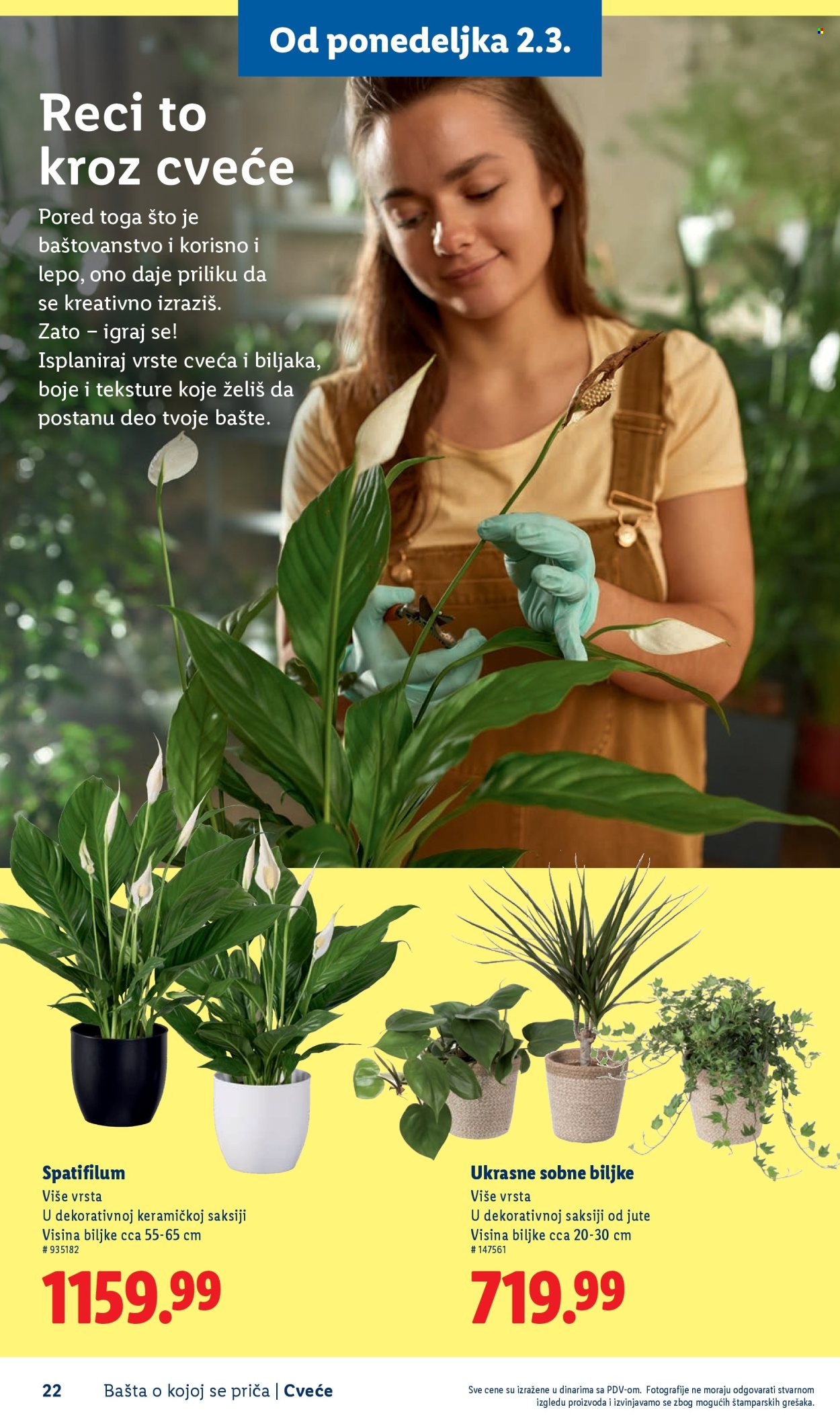 Lidl katalog. Stranica 22