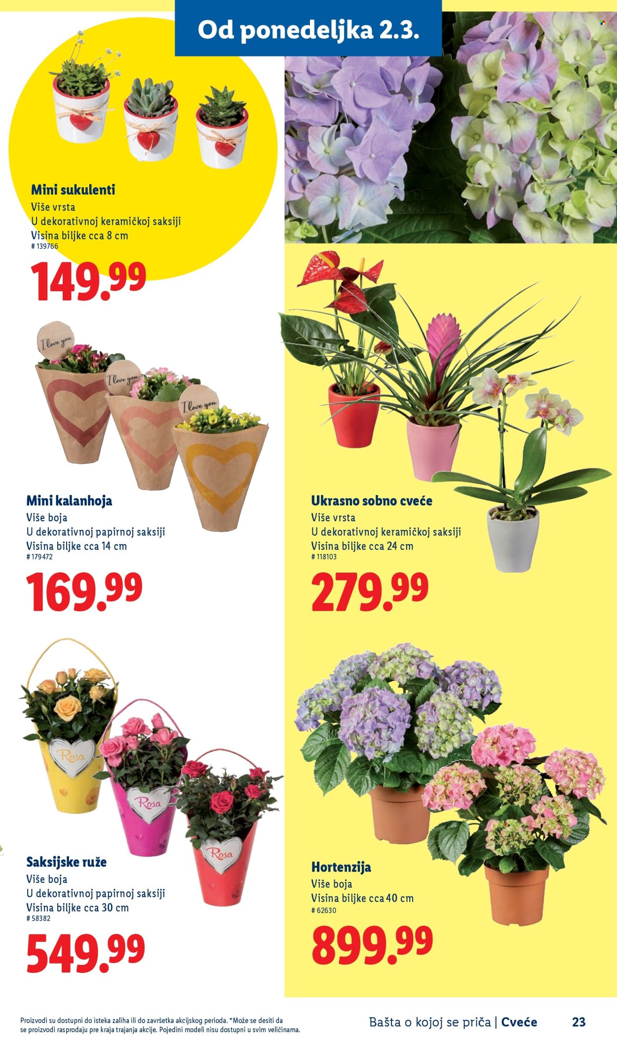 Lidl katalog. Stranica 23