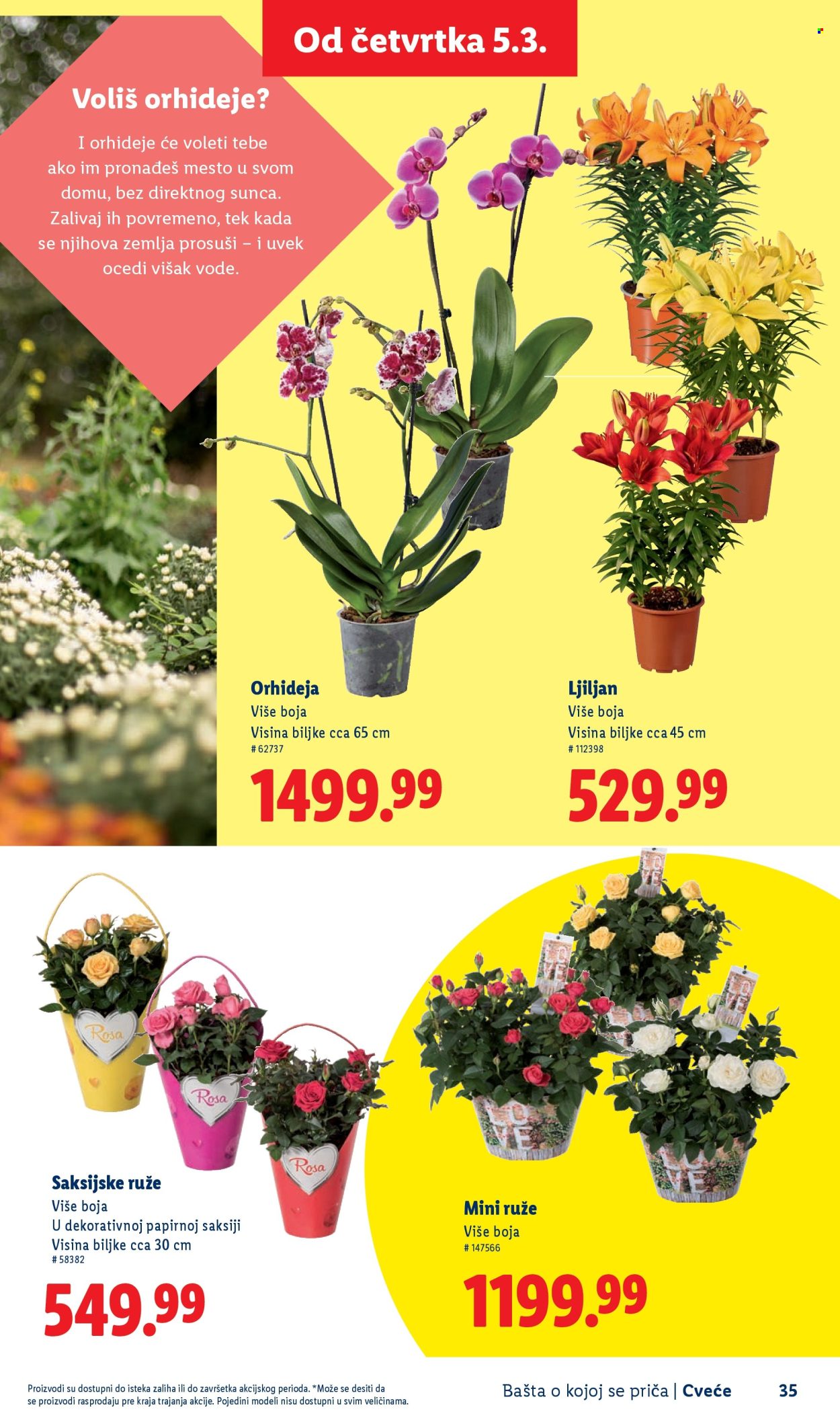 Lidl katalog. Stranica 35