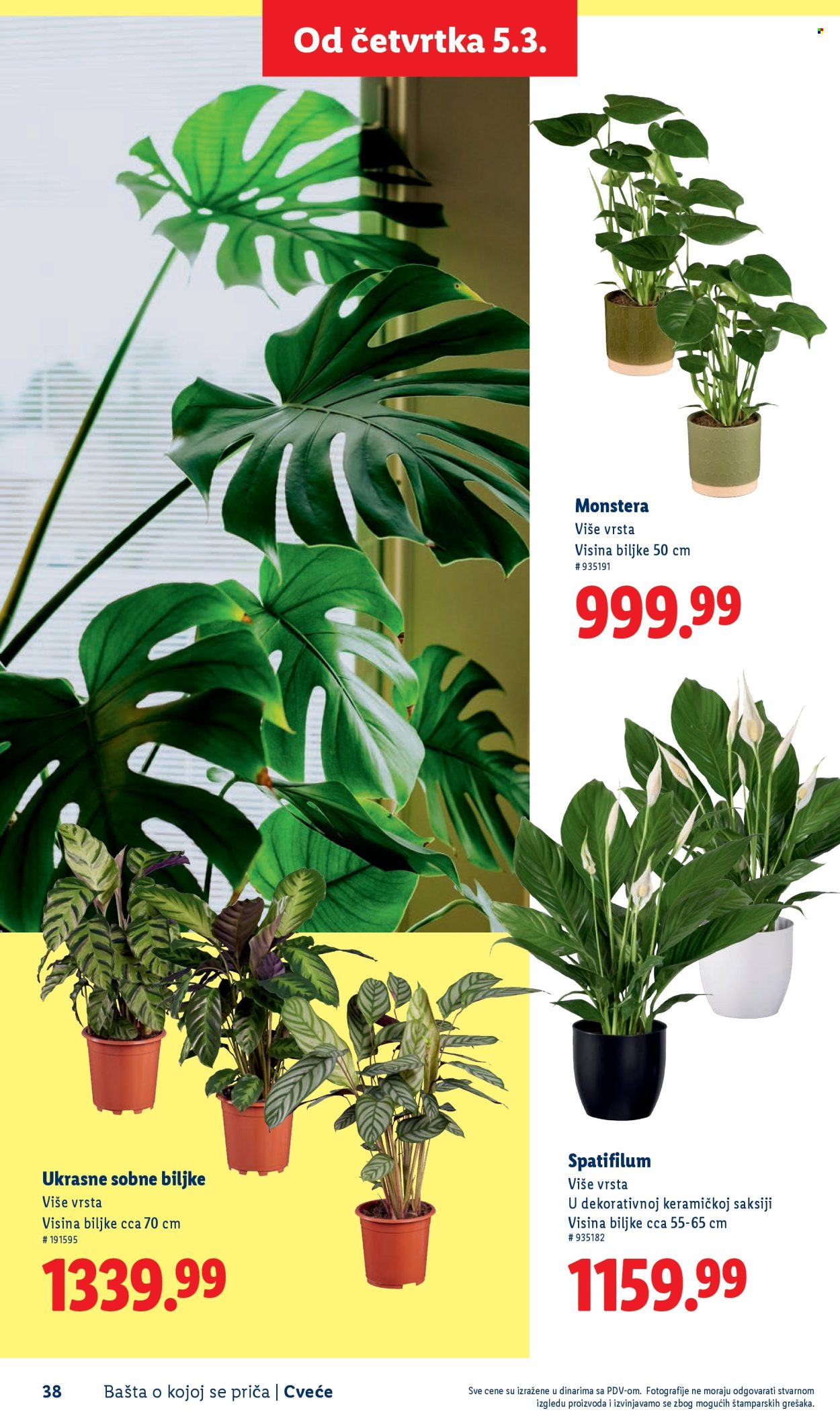 Lidl katalog. Stranica 38