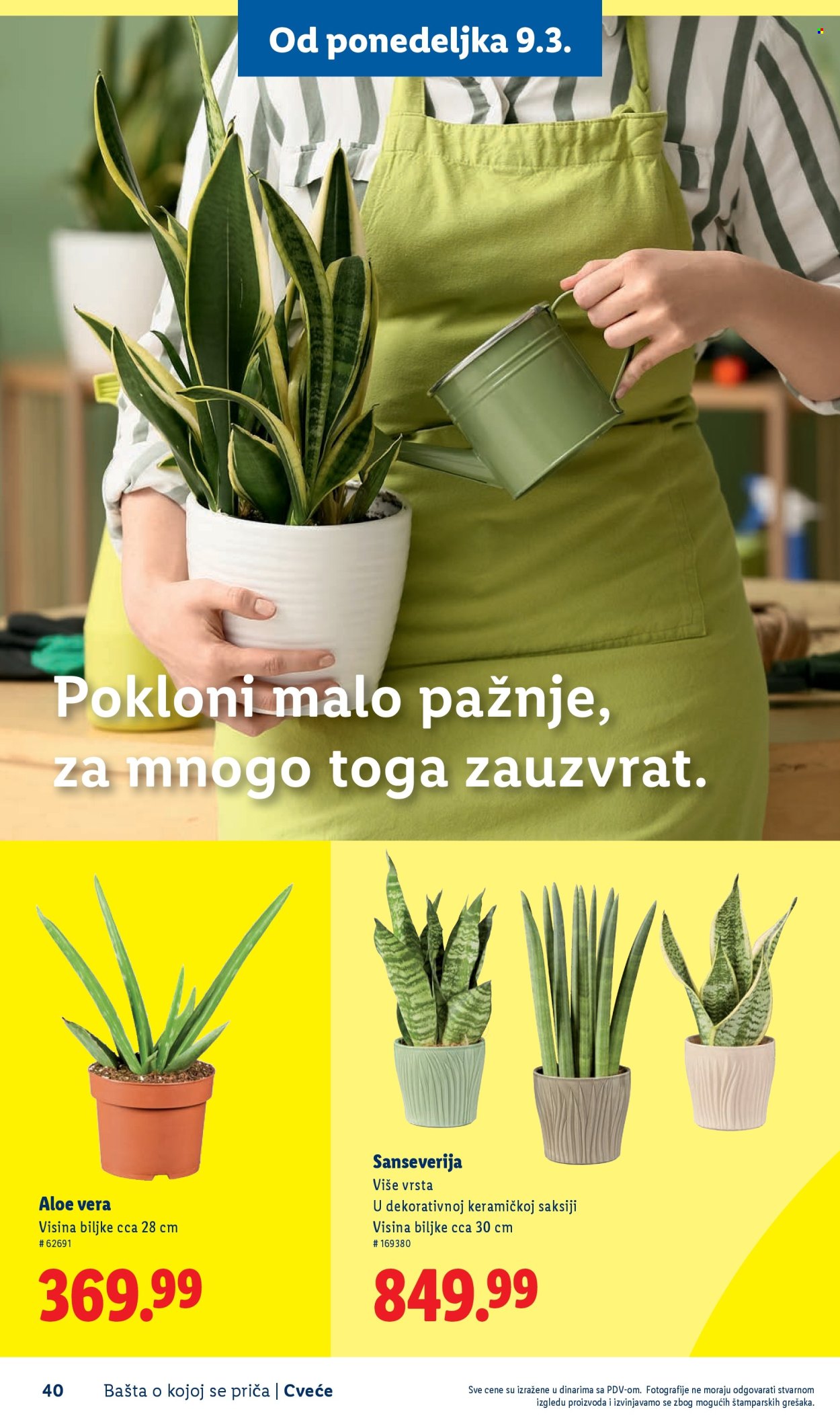 Lidl katalog. Stranica 40