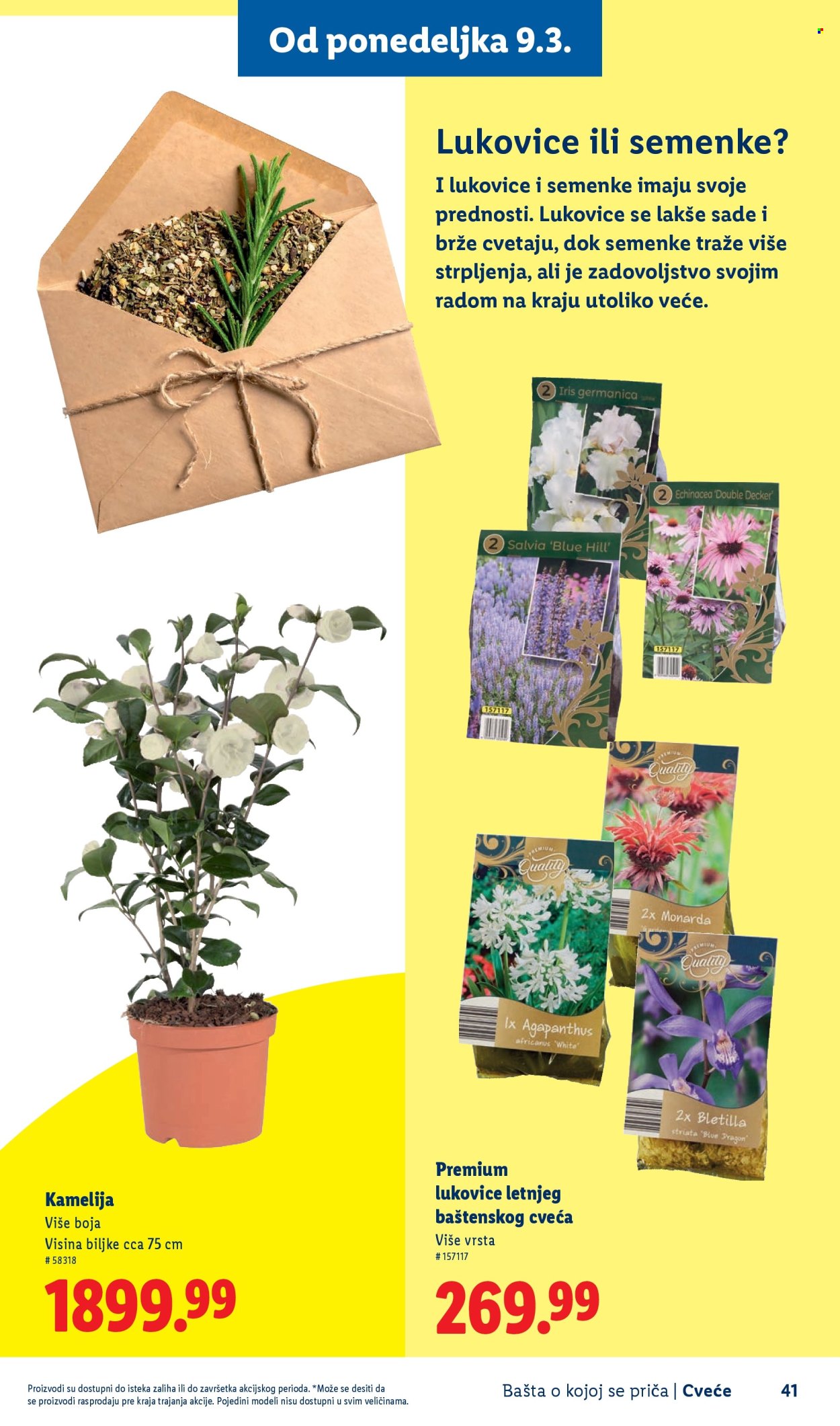 Lidl katalog. Stranica 41