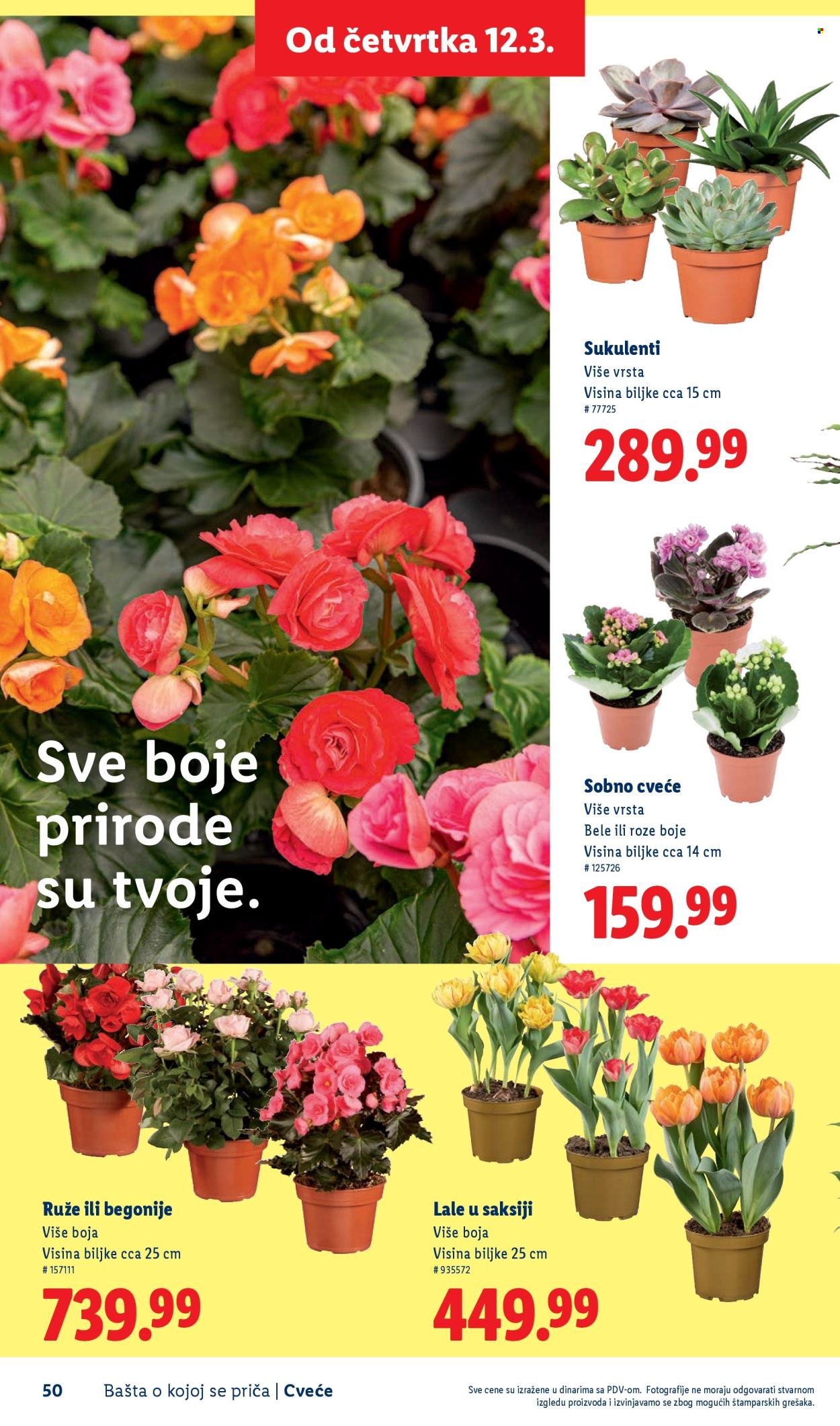 Lidl katalog. Stranica 50