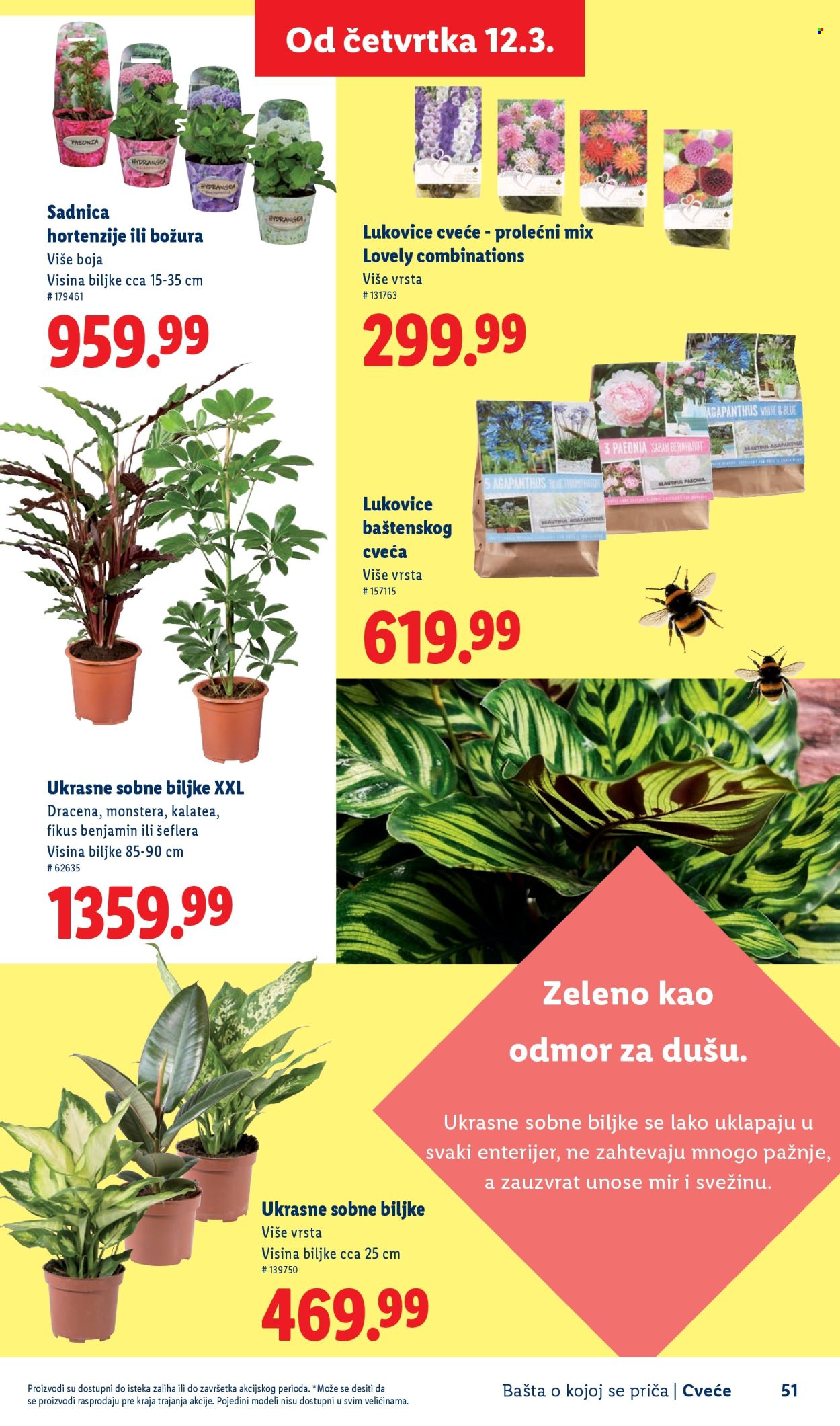 Lidl katalog. Stranica 51