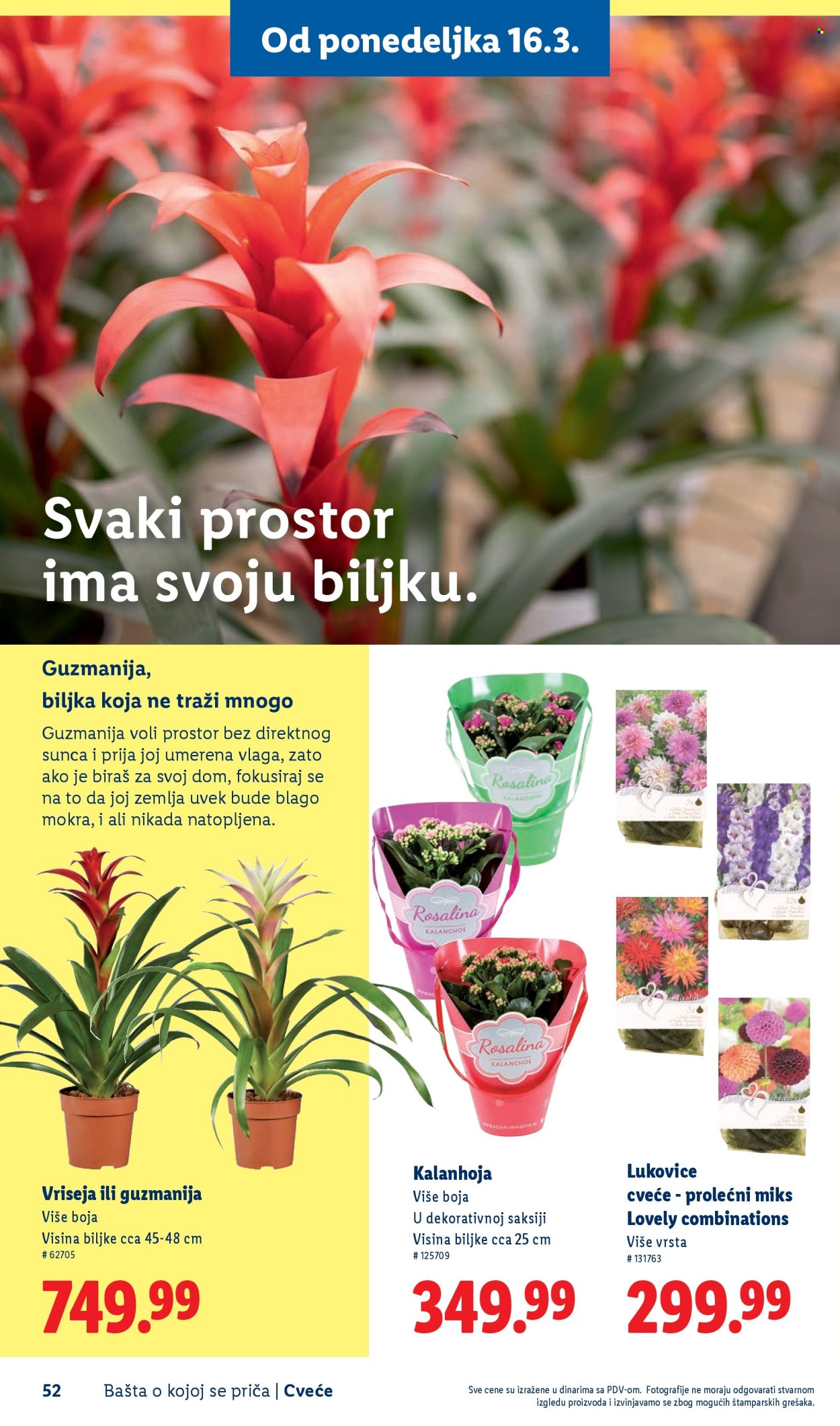 Lidl katalog. Stranica 52