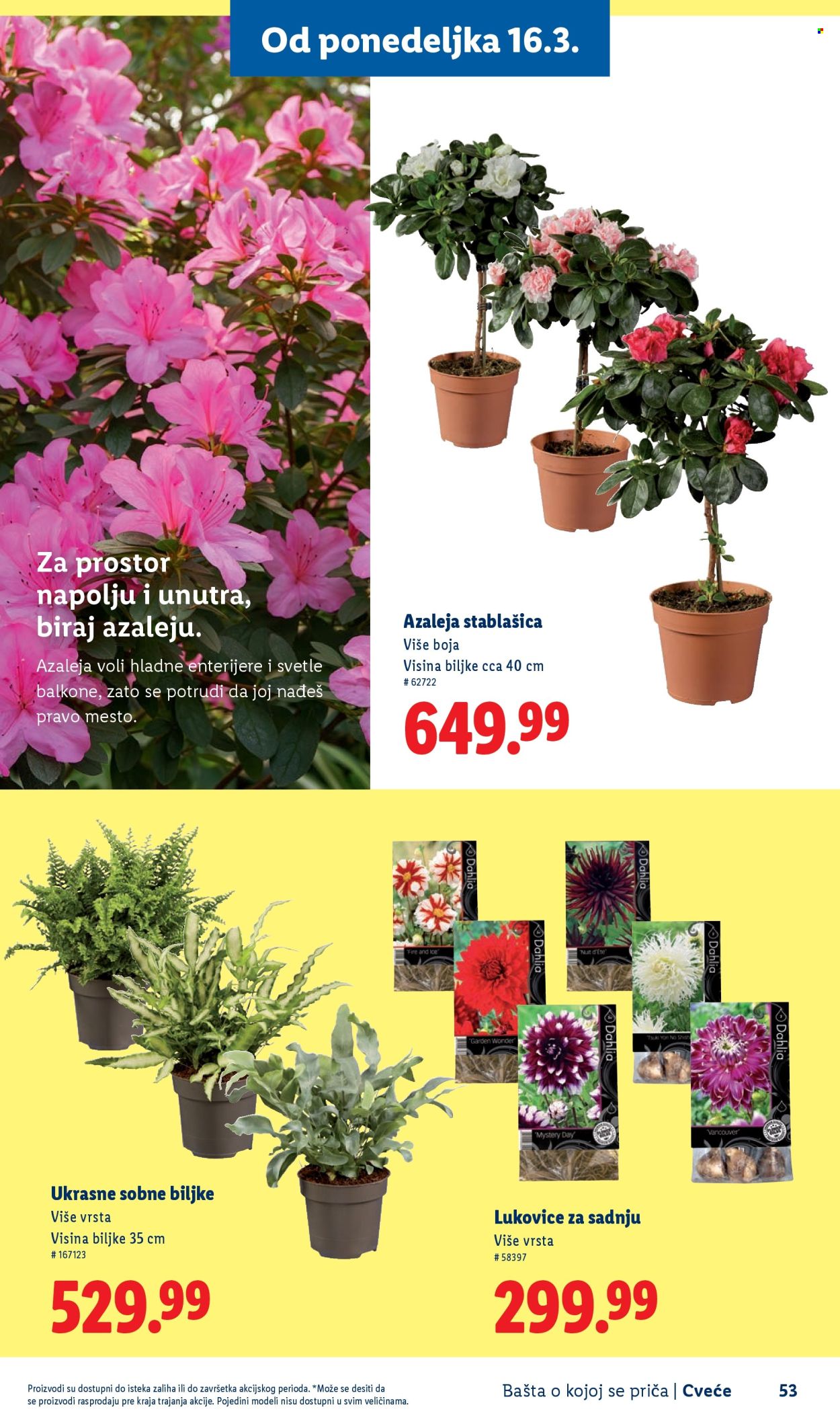 Lidl katalog. Stranica 53