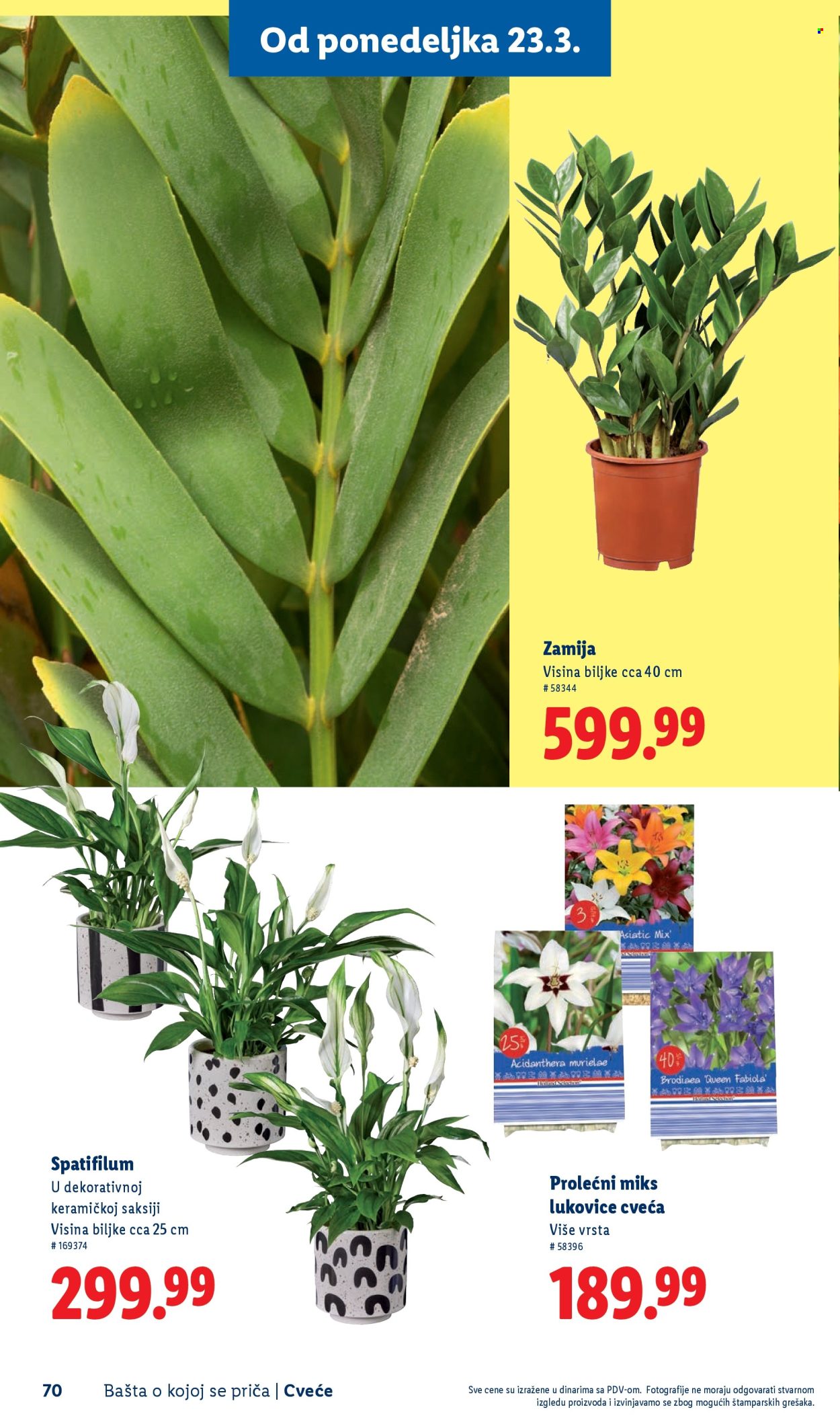 Lidl katalog. Stranica 70