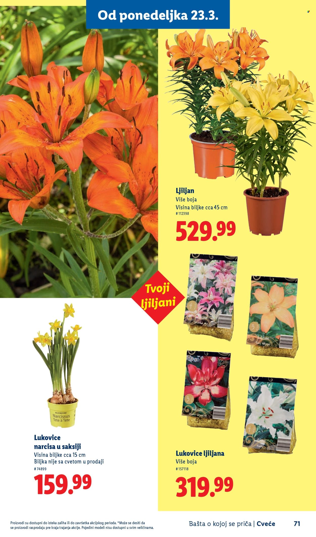 Lidl katalog. Stranica 71