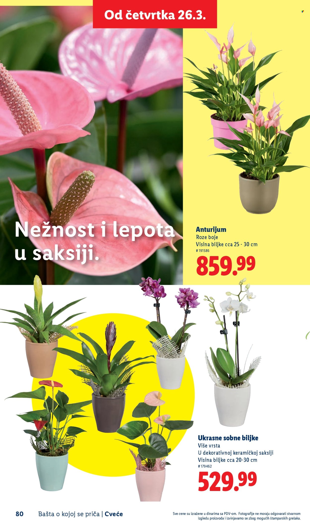 Lidl katalog. Stranica 80