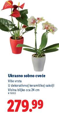 Ukrasno sobno cveće