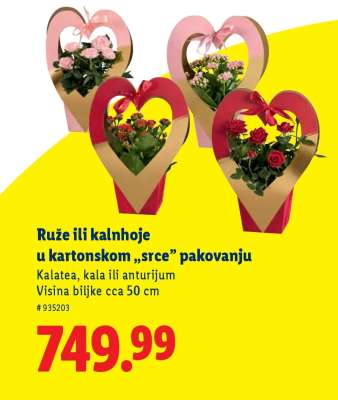 Ruže ili kalanhoje u kartonskom „srce” pakovanju