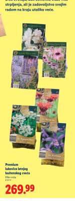 Premium lukovice letnjeg baštenskog cveća