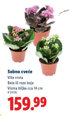 Sobno cveće