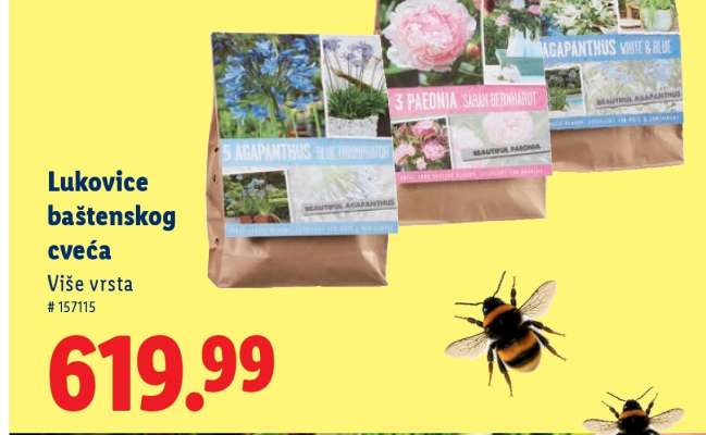 Lukovice baštenskog cveća