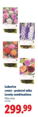 Lukovice cveće - prolećni miks