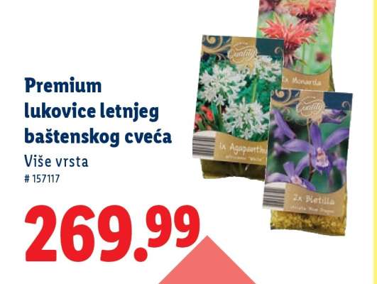 Premium lukovice letnjeg baštenskog cveća