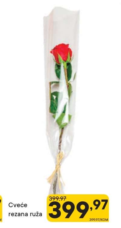 Cveće rezana ruža