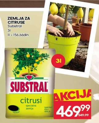 ZEMLJA ZA CITRUSE