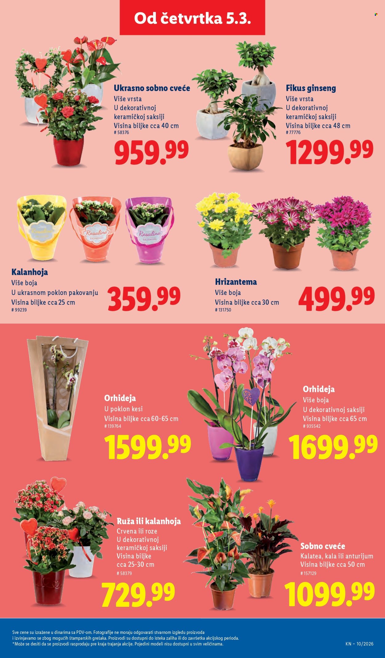 Lidl katalog - 05.03.2026 - 11.03.2026. Stranica 73