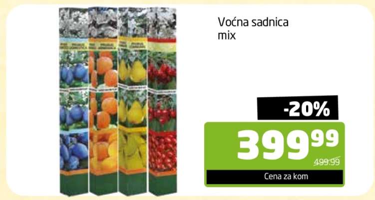 Vočná sadnica mix