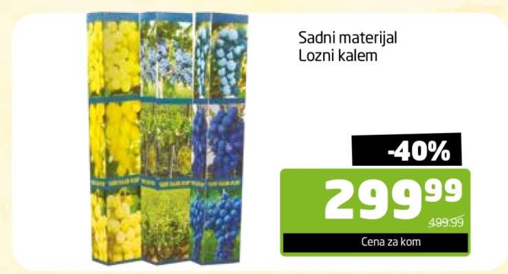 Sadni materijal Lozni kalem