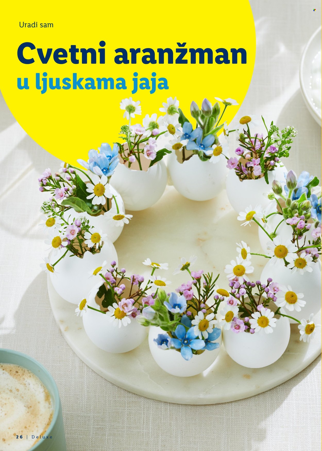 Lidl katalog. Stranica 26