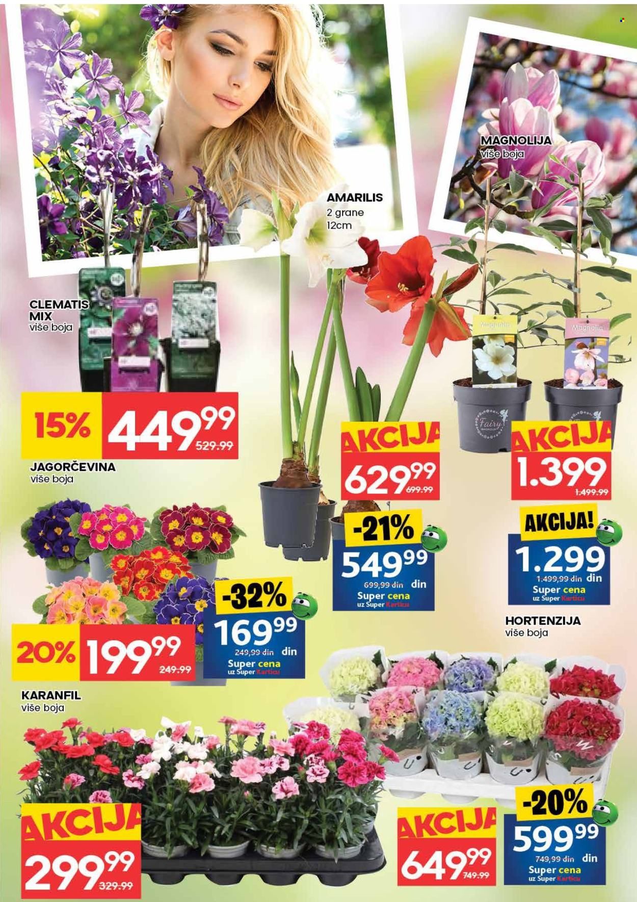 Roda katalog - 05.03.2026 - 11.03.2026. Stranica 31