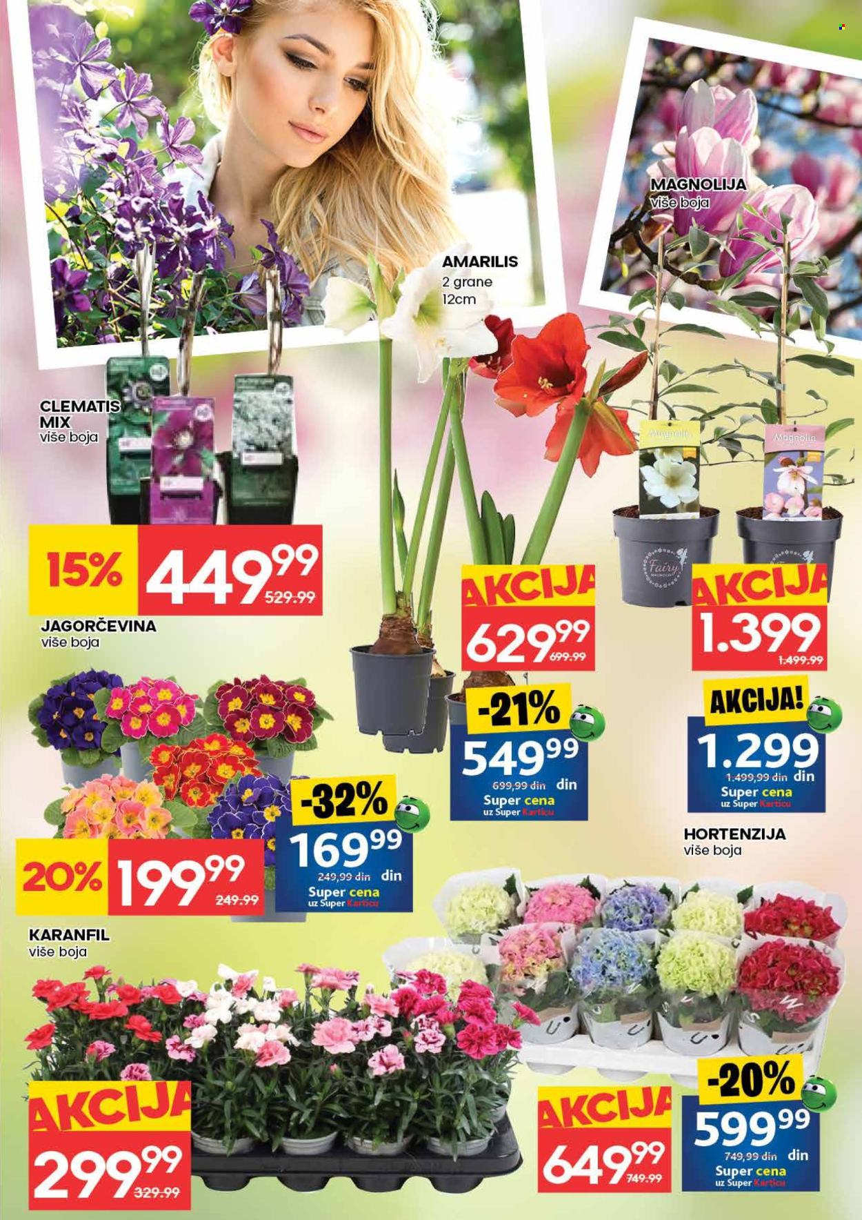 Idea katalog - 05.03.2026 - 11.03.2026. Stranica 31