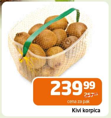 Kivi korpica