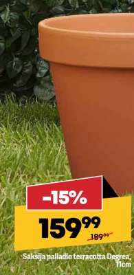 Saksija palladio terracotta Degrea, 11cm