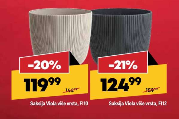 Saksija Viola više vrsta, FI10