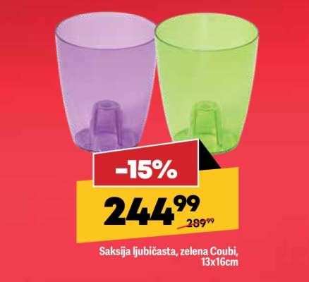 Saksija ljubičasta, zelena Coubi