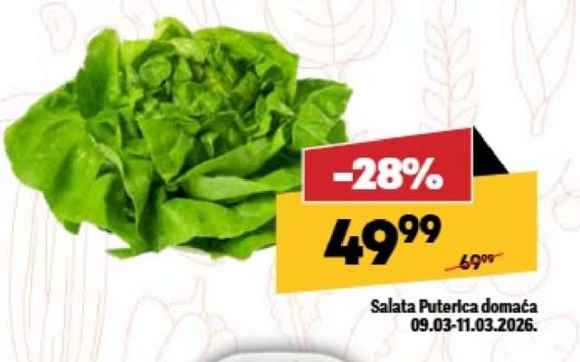 Salata Puterica domaca