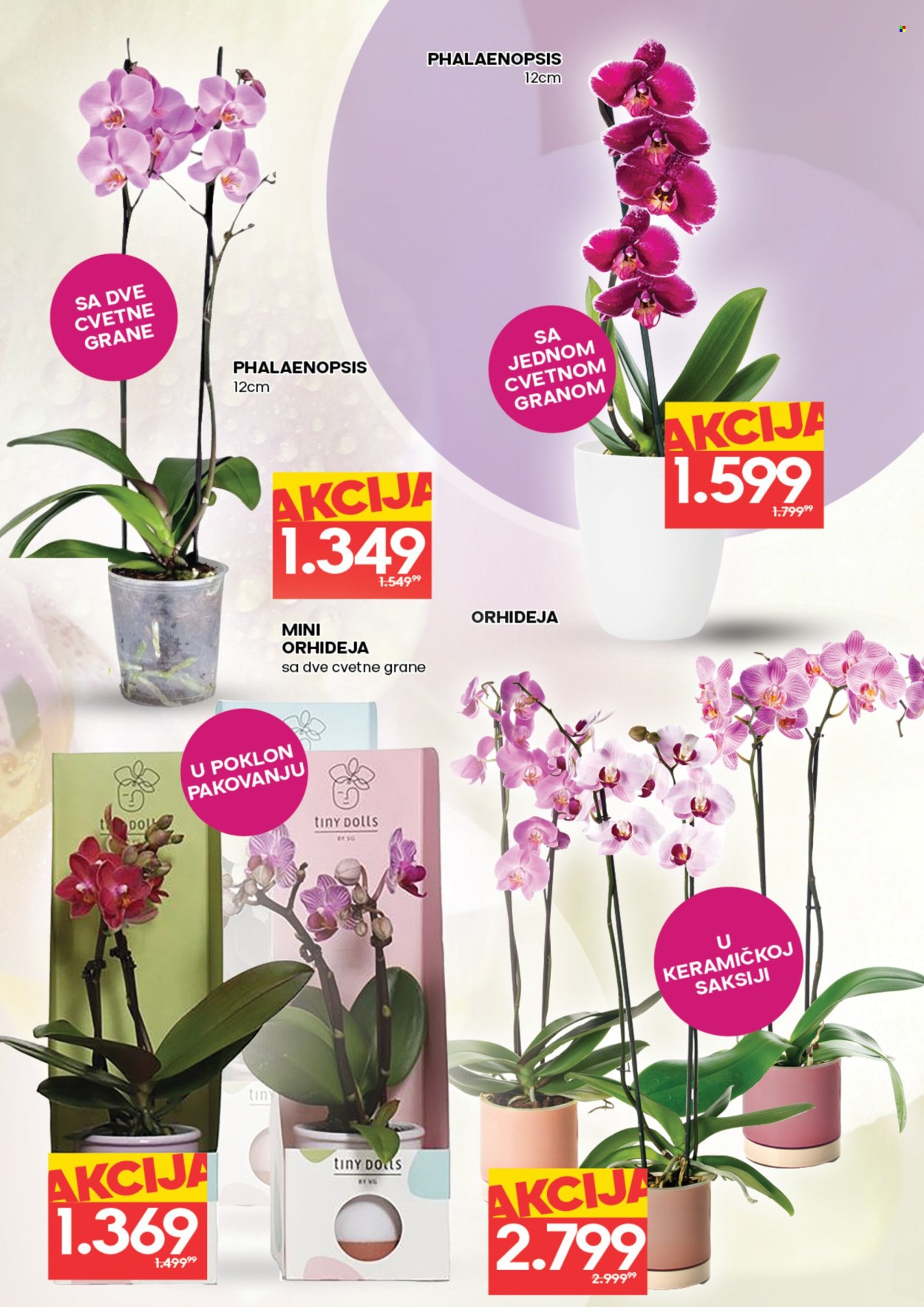 Roda katalog - 05.03.2026 - 11.03.2026. Stranica 2