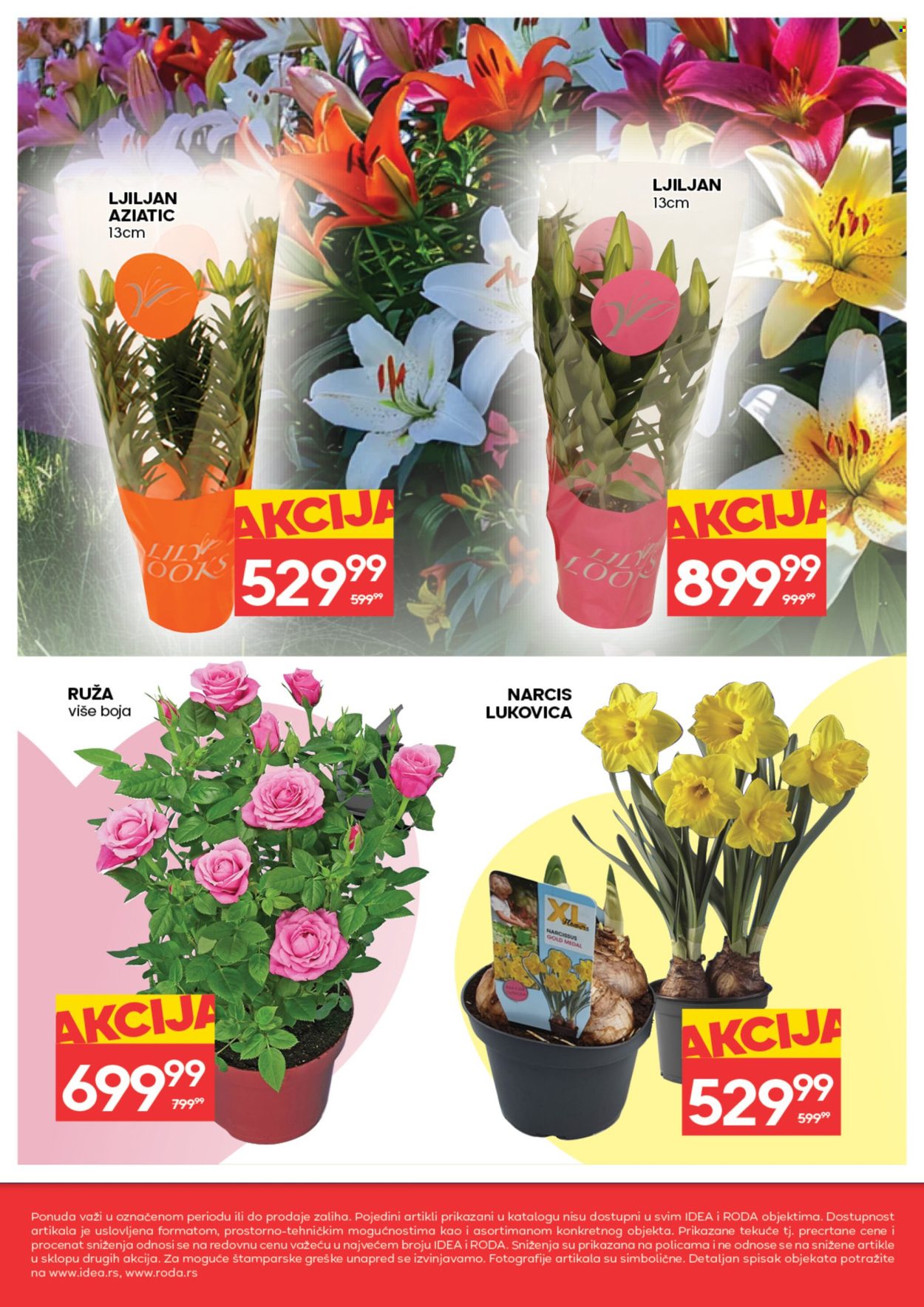 Roda katalog - 05.03.2026 - 11.03.2026. Stranica 8