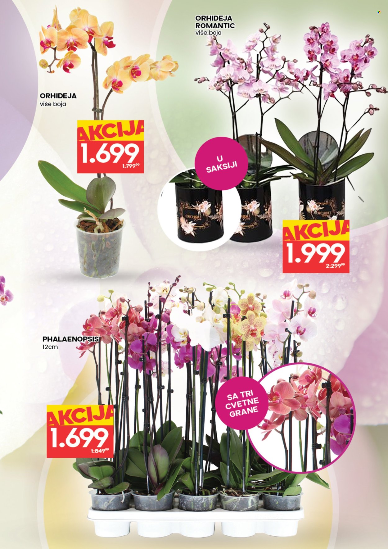 Idea katalog - 05.03.2026 - 11.03.2026. Stranica 3