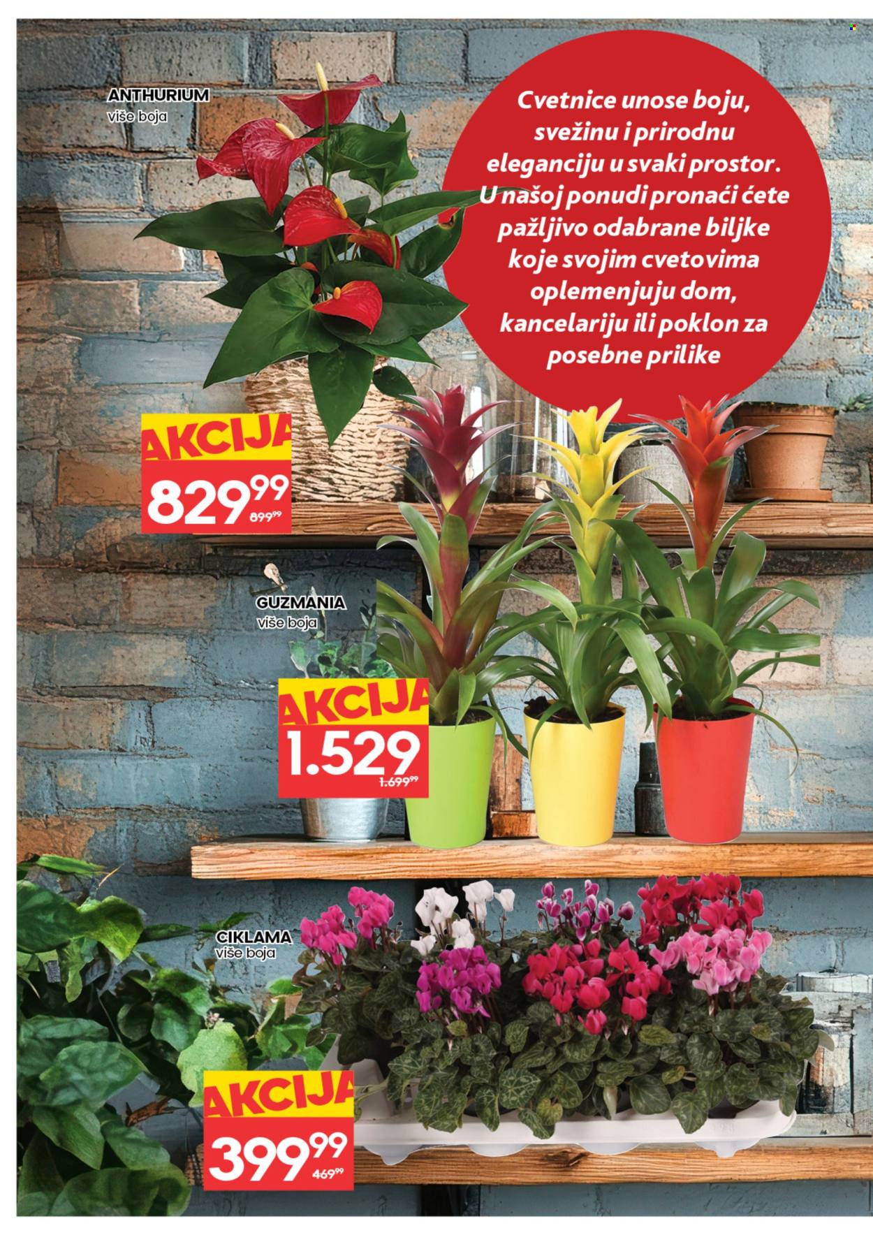 Idea katalog - 05.03.2026 - 11.03.2026. Stranica 4